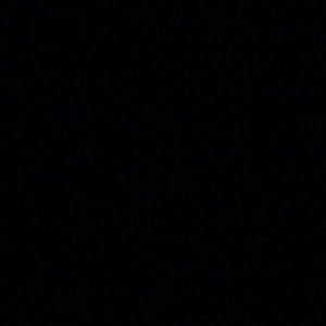 Meet your Posher, Dominick